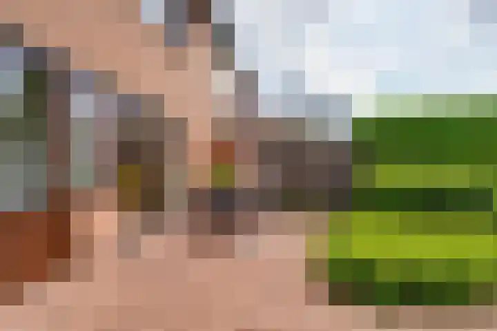 Ridder van de Merwedestraat 6 Meeuwen thumbnail 20