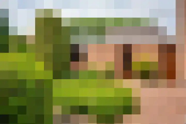 Ridder van de Merwedestraat 6 Meeuwen thumbnail 21
