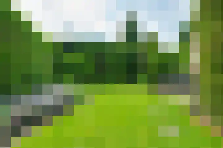 Ridder van de Merwedestraat 6 Meeuwen thumbnail 23