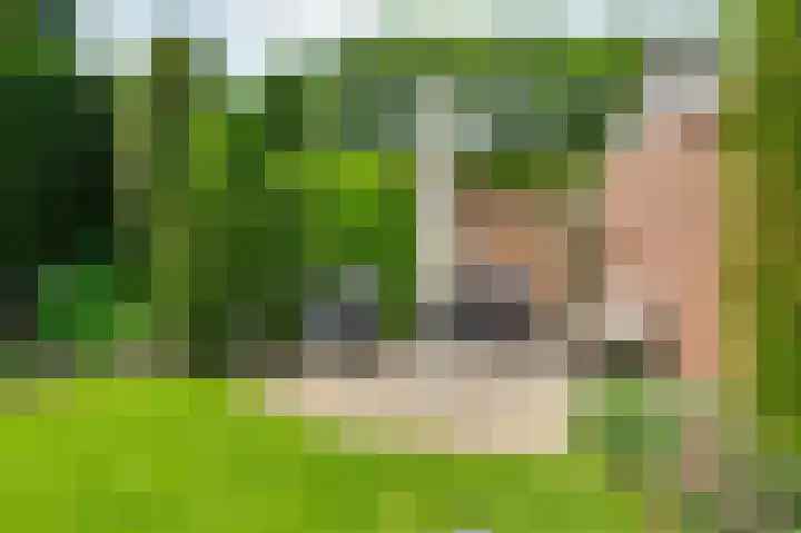 Ridder van de Merwedestraat 6 Meeuwen thumbnail 24
