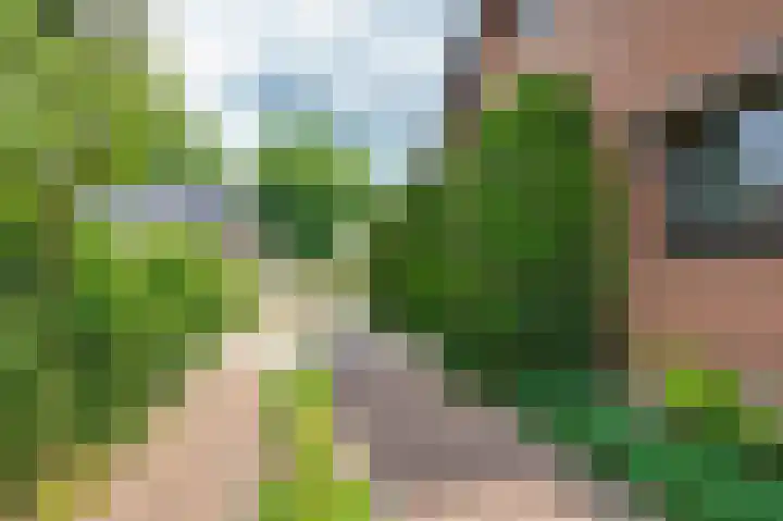 Ridder van de Merwedestraat 6 Meeuwen thumbnail 25