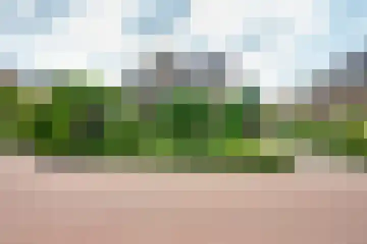 Ridder van de Merwedestraat 6 Meeuwen thumbnail 26