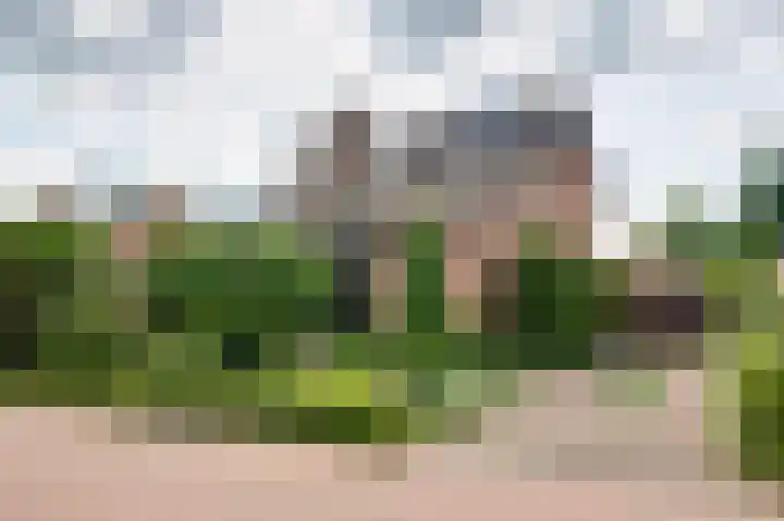 Ridder van de Merwedestraat 6 Meeuwen thumbnail 32