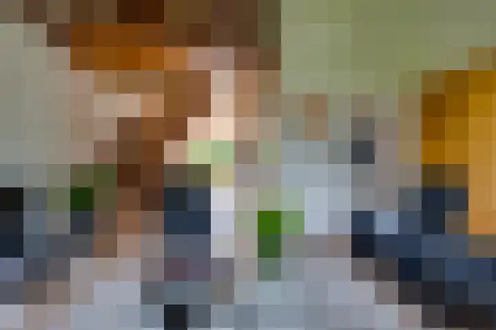 Ridder van de Merwedestraat 6 Meeuwen thumbnail 5