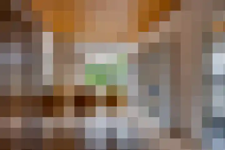 Ridder van de Merwedestraat 6 Meeuwen thumbnail 6