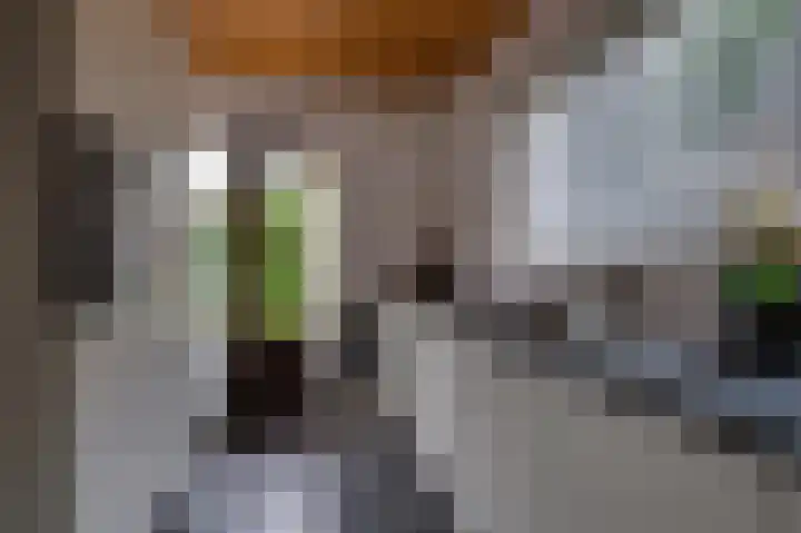 Ridder van de Merwedestraat 6 Meeuwen thumbnail 7