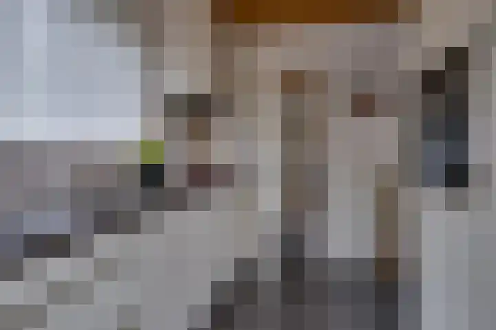 Ridder van de Merwedestraat 6 Meeuwen thumbnail 8