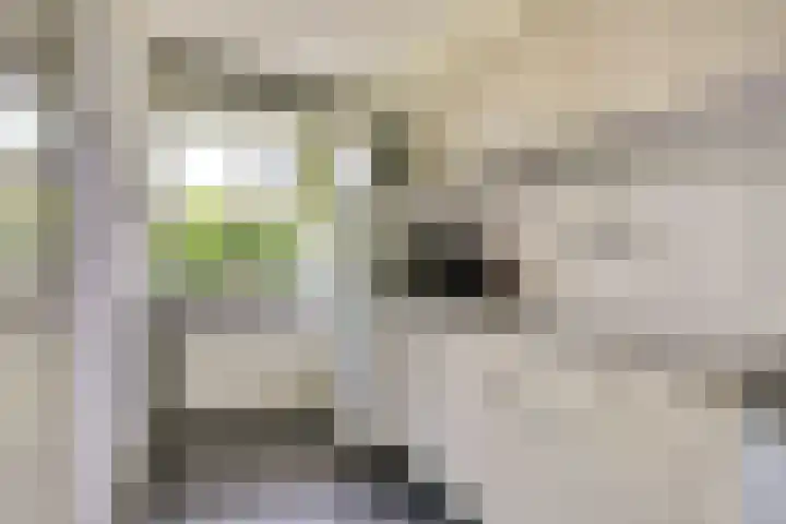 Ridder van de Merwedestraat 9 Meeuwen thumbnail 11