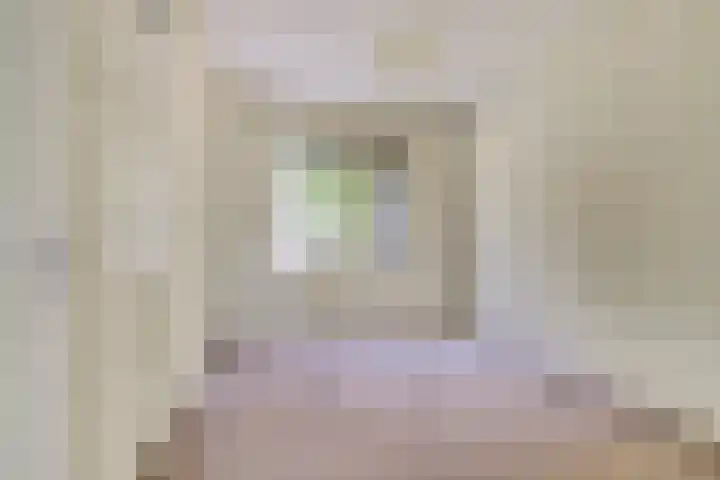 Ridder van de Merwedestraat 9 Meeuwen thumbnail 14