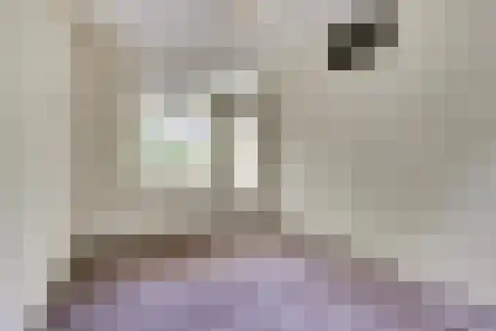 Ridder van de Merwedestraat 9 Meeuwen thumbnail 15