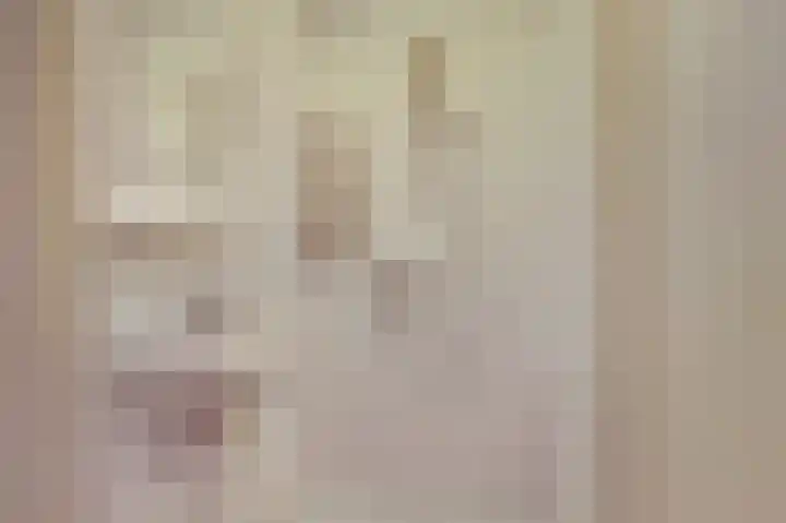 Ridder van de Merwedestraat 9 Meeuwen thumbnail 18