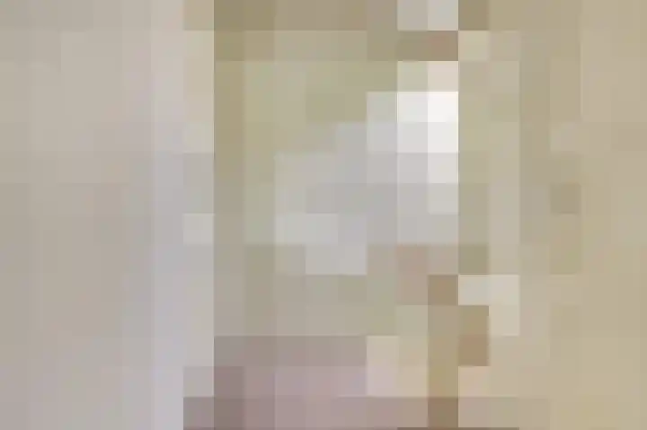 Ridder van de Merwedestraat 9 Meeuwen thumbnail 19