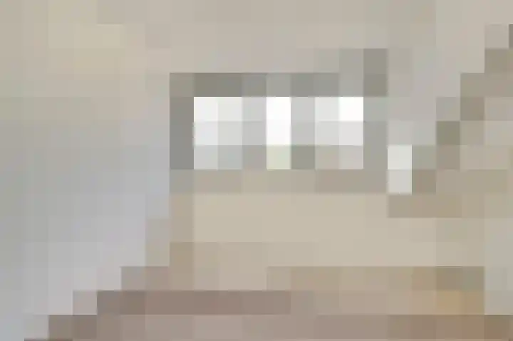 Ridder van de Merwedestraat 9 Meeuwen thumbnail 22