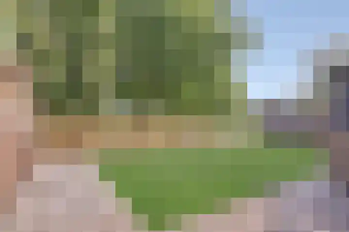 Ridder van de Merwedestraat 9 Meeuwen thumbnail 25