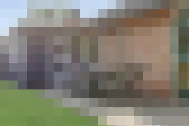 Ridder van de Merwedestraat 9 Meeuwen thumbnail 27