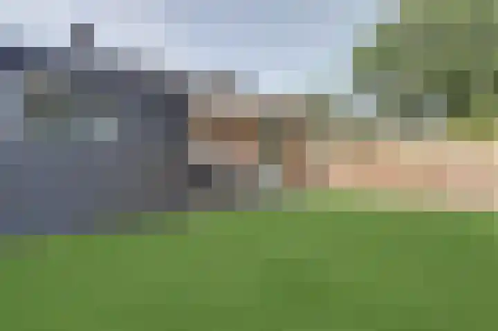 Ridder van de Merwedestraat 9 Meeuwen thumbnail 28