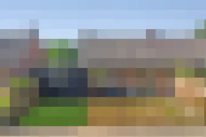 Ridder van de Merwedestraat 9 Meeuwen thumbnail 29