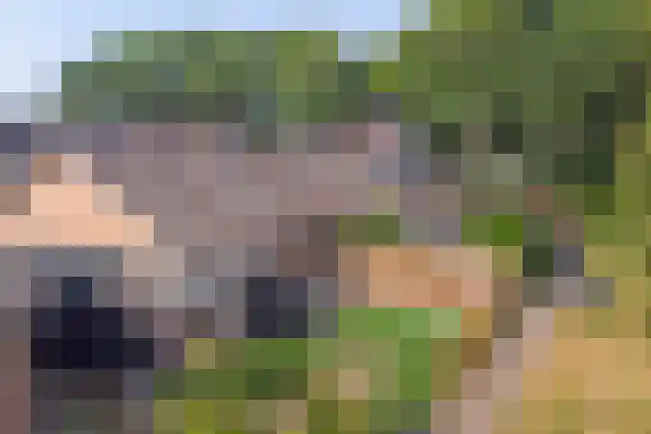 Ridder van de Merwedestraat 9 Meeuwen thumbnail 31