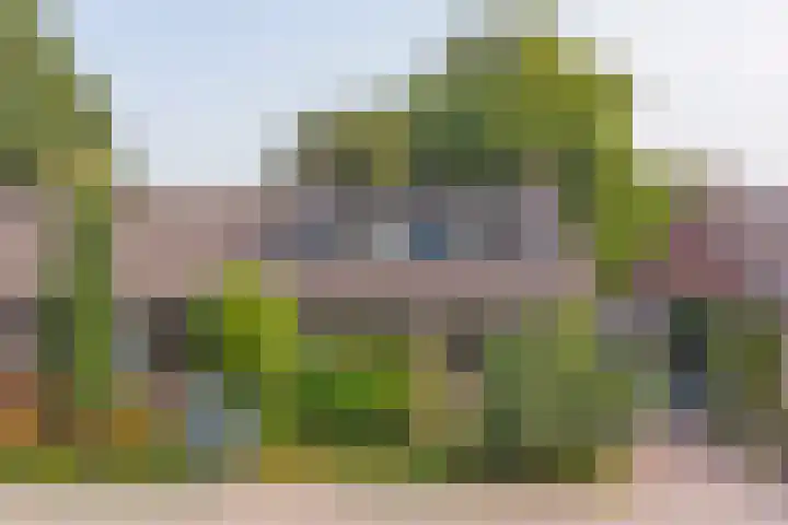 Ridder van de Merwedestraat 9 Meeuwen thumbnail 32
