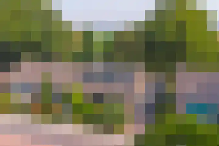 Ridder van de Merwedestraat 9 Meeuwen thumbnail 33