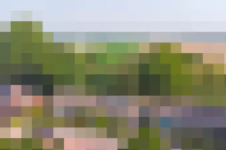 Ridder van de Merwedestraat 9 Meeuwen thumbnail 34