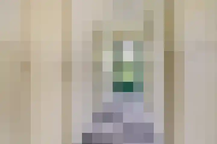 Ridder van de Merwedestraat 9 Meeuwen thumbnail 4