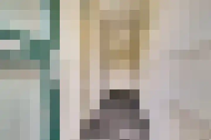 Ridder van de Merwedestraat 9 Meeuwen thumbnail 5