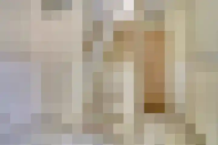Ridder van de Merwedestraat 9 Meeuwen thumbnail 6