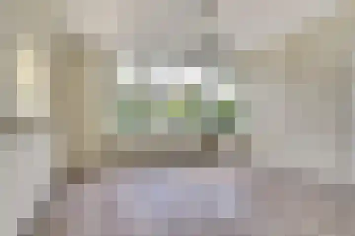 Ridder van de Merwedestraat 9 Meeuwen thumbnail 7