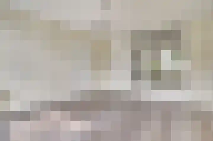 Ridder van de Merwedestraat 9 Meeuwen thumbnail 8