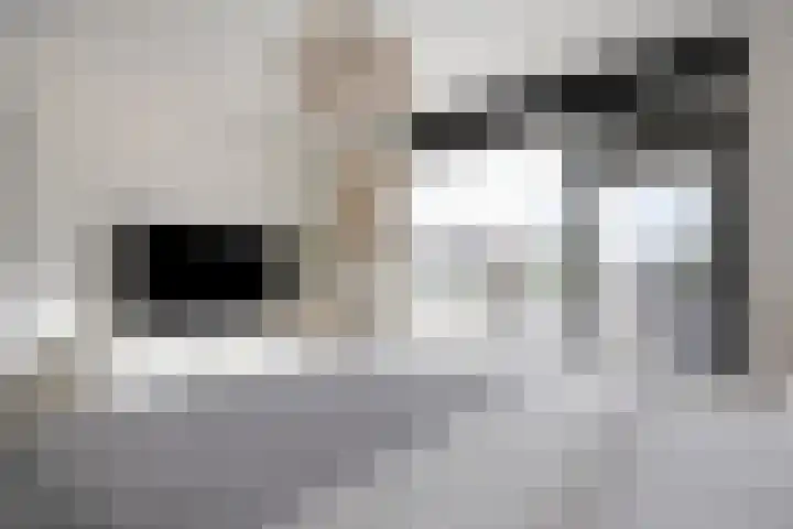 Ridder van Dorplaan 18 Zuid-Beijerland thumbnail 20