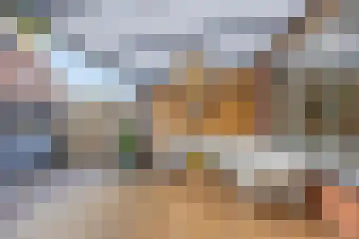 Ridder van Dorplaan 18 Zuid-Beijerland thumbnail 30