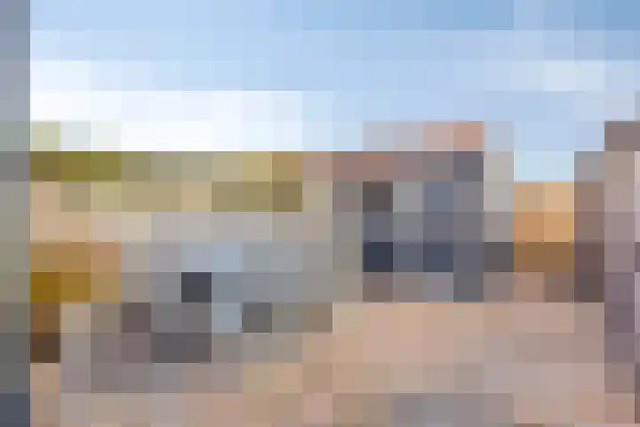 Ridder van Dorplaan 18 Zuid-Beijerland thumbnail 31