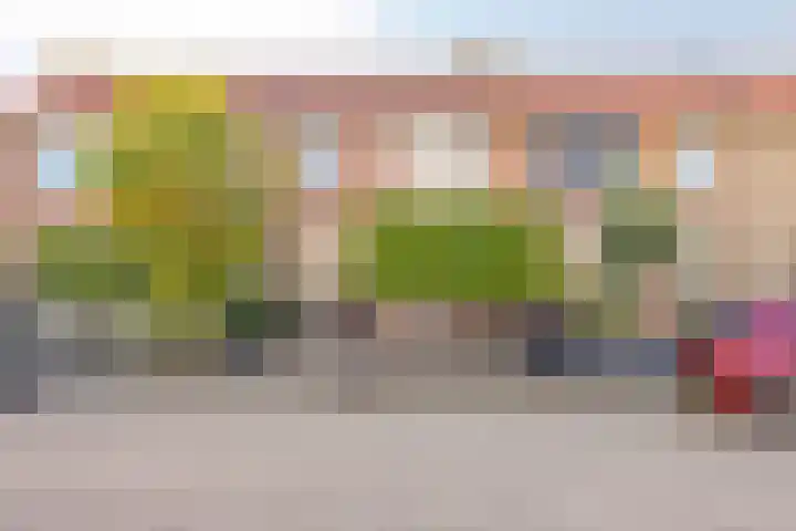Ridder van Dorplaan 18 Zuid-Beijerland thumbnail 5