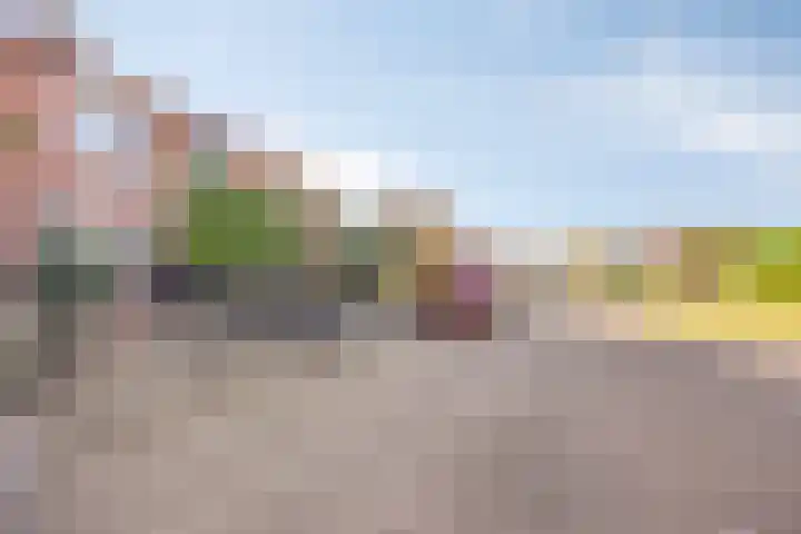 Ridder van Dorplaan 18 Zuid-Beijerland thumbnail 6