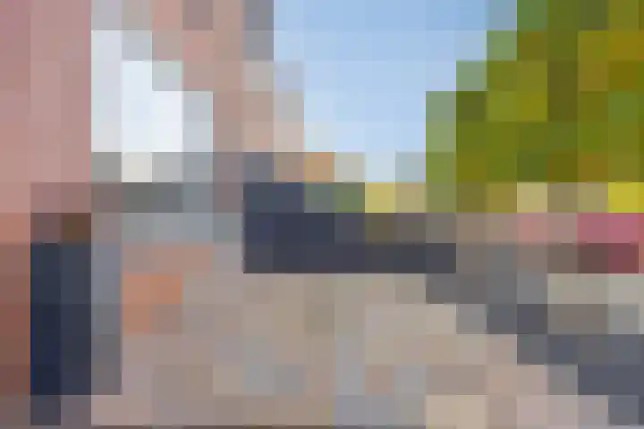 Ridder van Dorplaan 18 Zuid-Beijerland thumbnail 7