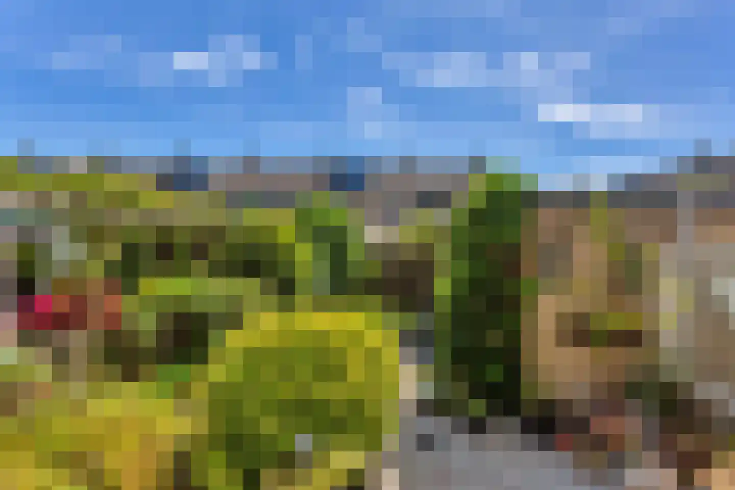 Ridder van Dorplaan 32 Zuid-Beijerland thumbnail 27