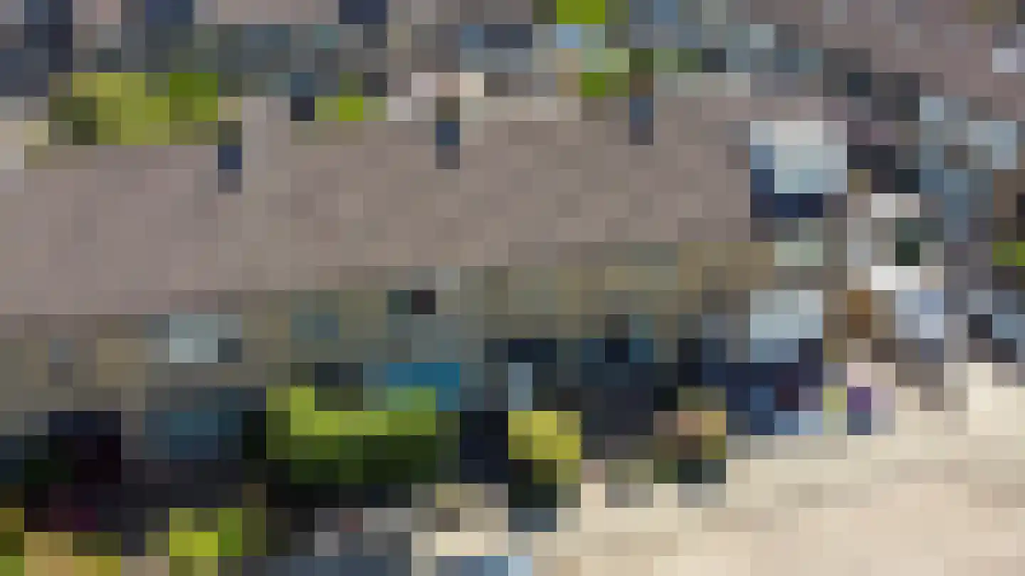 Ridder van Dorplaan 32 Zuid-Beijerland thumbnail 33