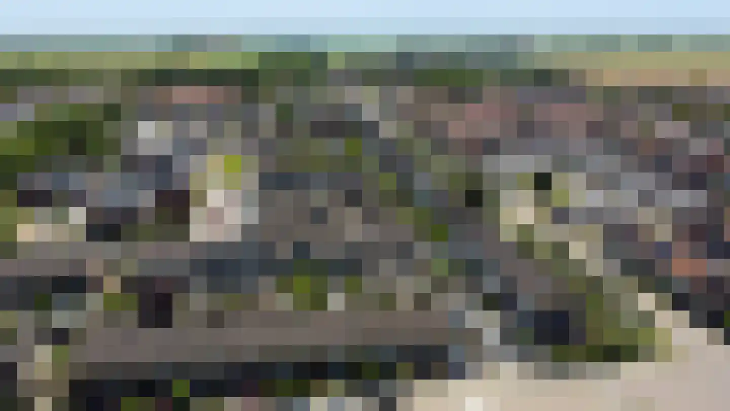 Ridder van Dorplaan 32 Zuid-Beijerland thumbnail 34