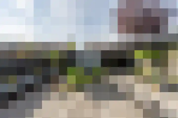 Ridder van Dorplaan 46 Zuid-Beijerland thumbnail 29