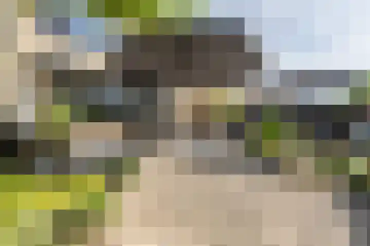 Ridder van Dorplaan 46 Zuid-Beijerland thumbnail 32