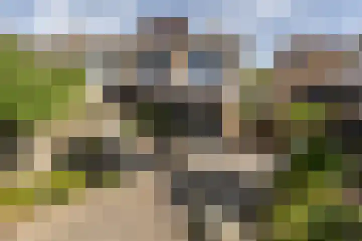 Ridder van Dorplaan 46 Zuid-Beijerland thumbnail 33