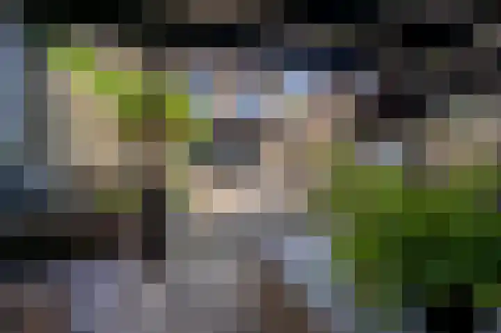 Ridder van Dorplaan 46 Zuid-Beijerland thumbnail 35