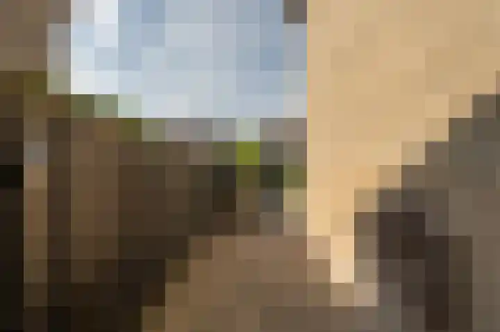 Ridder van Dorplaan 46 Zuid-Beijerland thumbnail 36