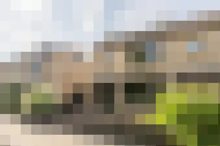 Ridder van Dorplaan 46 Zuid-Beijerland thumbnail 37