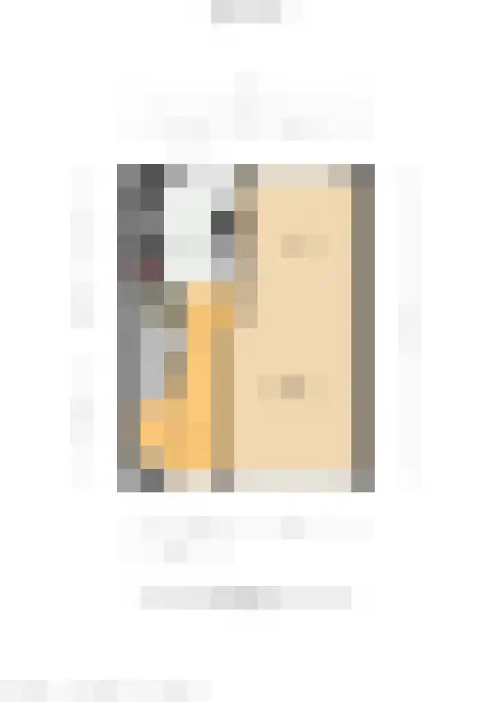 Ridder van Dorplaan 46 Zuid-Beijerland thumbnail 38