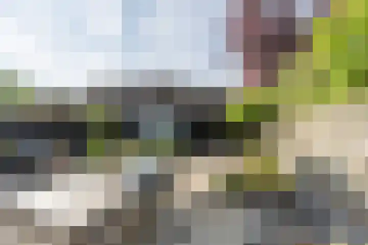 Ridder van Dorplaan 46 Zuid-Beijerland thumbnail 4