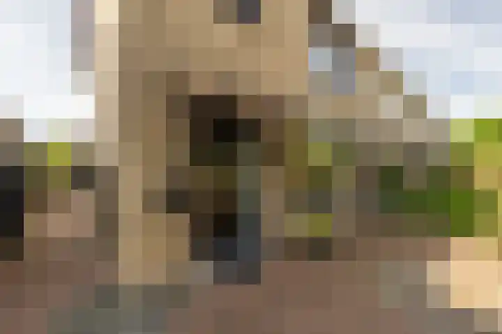 Ridder van Dorplaan 46 Zuid-Beijerland thumbnail 5