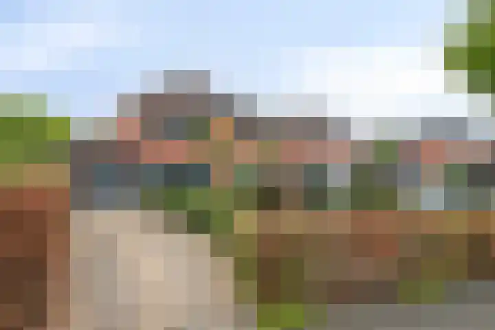 Ridder van Dorpstraat 16 F Nieuw-Beijerland