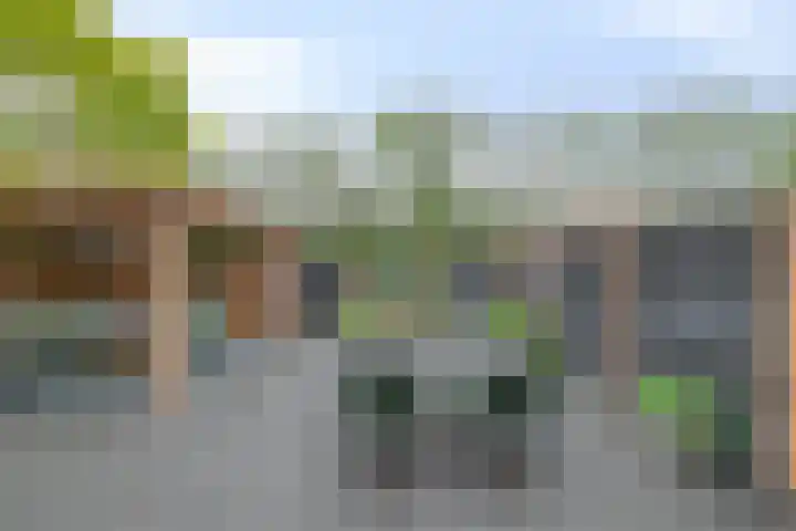Ridder van Dorpstraat 16 F Nieuw-Beijerland thumbnail 21